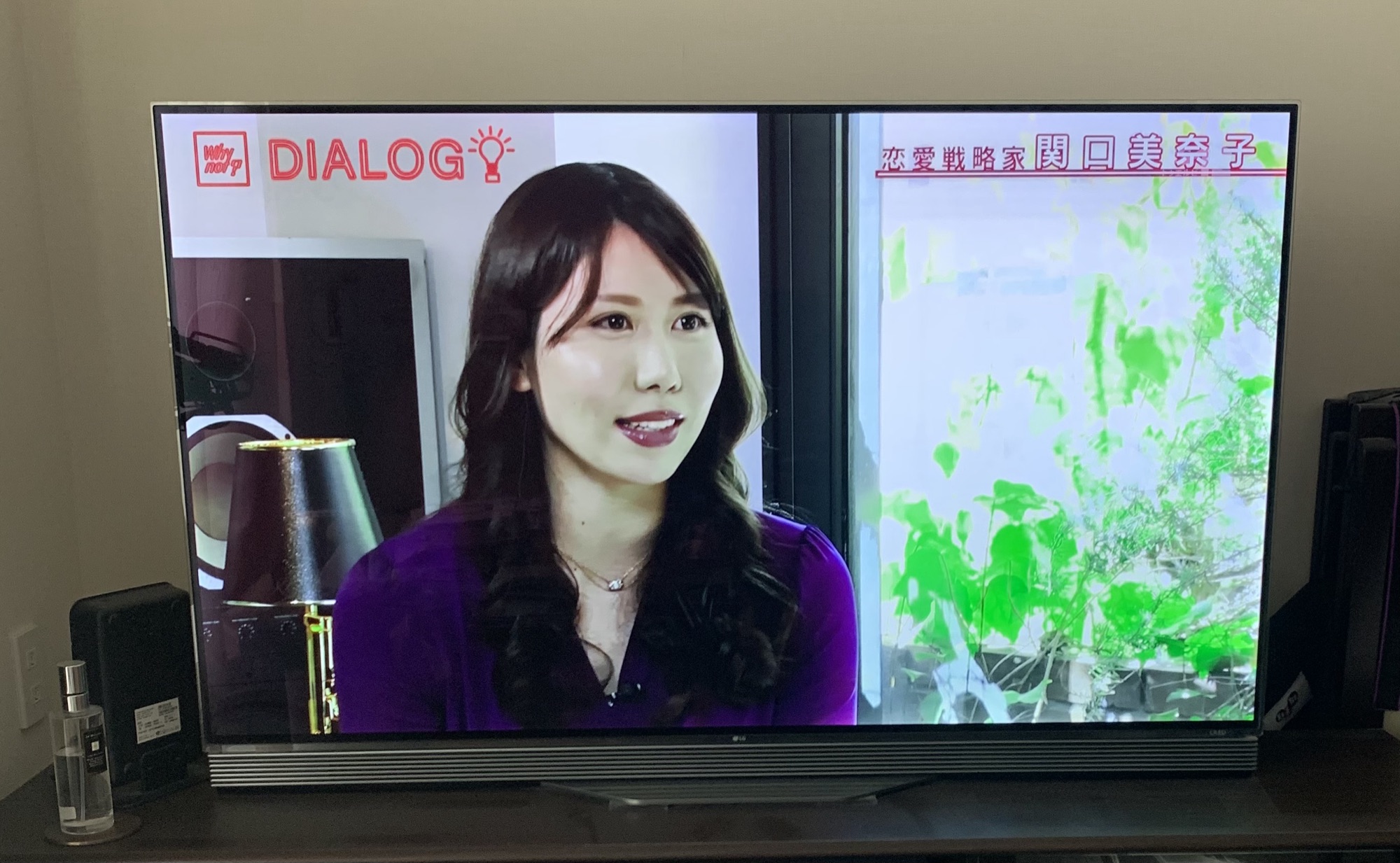 DIALOG 出演